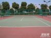 网球场建设 室内网球场网球场面层 网球场