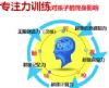 北京智力智商脑开发培训专注力记忆力培训